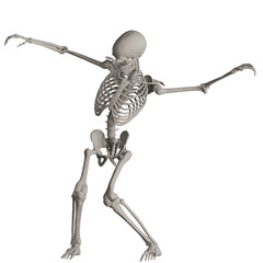 skeleton posing 3d render illustration with transparent background	