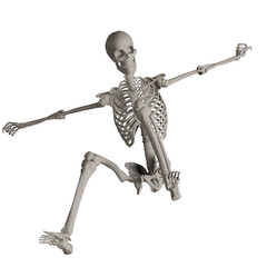 skeleton posing 3d render illustration with transparent background	