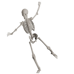 skeleton posing 3d render illustration with transparent background	
