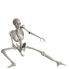 skeleton posing 3d render illustration with transparent background	