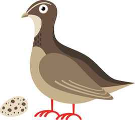Quail cartoon icon. Gray bird with spotty egg