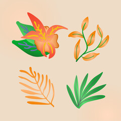 Fototapeta na wymiar Illustration of a set of leaves