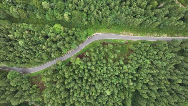 Top down view of a forrest road. Path through the woods. Adventure, nature green and asphalt. Aerial drone overhead view.