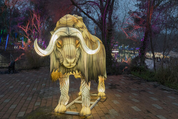 Big glowing sculpture of an African buffalo with horns. The Christmas advertising campaign. A piece of the Arctic in the city, luminous animals of different species. The nighttime of the New Year.