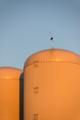 Silos - Industrieanlage