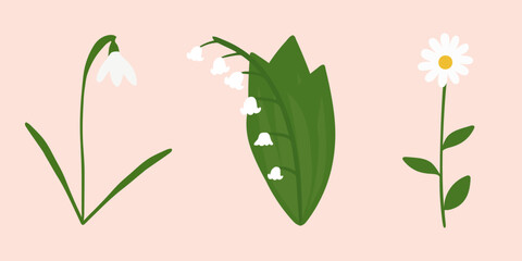Fototapeta premium Set of first spring flowers in flat style. Snowdrop, lily of the valley and chamomile hand drawn