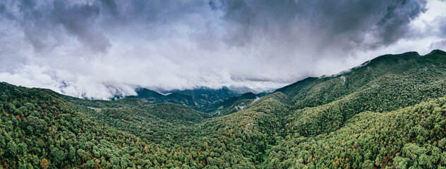 Aerial panoramic view of the Mata Atlantica preserved in Brazil, in the state of Minas Gerais