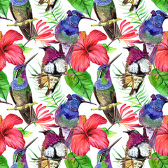 
Watercolor hummingbirds and tropical flowers and leaves in a seamless pattern. Can be used as fabric, wallpaper, wrap.