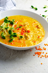 Lentil Soup, Homemade Vegetable Soup with Chicken and Herbs on Bright Background, Healthy Eating