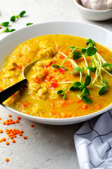 Lentil Soup, Homemade Vegetable Soup with Chicken and Herbs on Bright Background, Healthy Eating