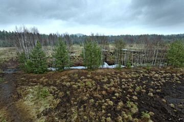 Fototapeta premium Soumarske raseliniste (moor or peat bog), Sumava national park (Bohemian forest) in Czech Republic. Wooden walkway 