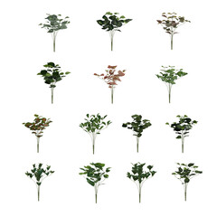 set of plastic plants on white, 3d rendering of png transparent background, suitable for archiviz, architecture visualization gardening design