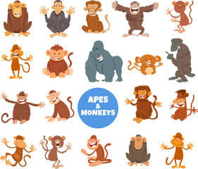 cartoon apes and monkeys animal characters big set