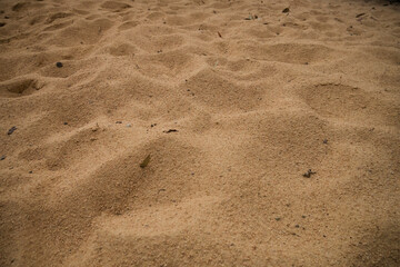 Sand texture background closeup ground
