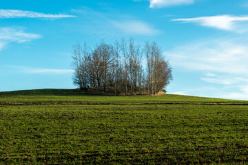 Fototapeta na wymiar Landscape with trees against the blue sky. Light and shadow. Rudawy Janowickie, Poland.