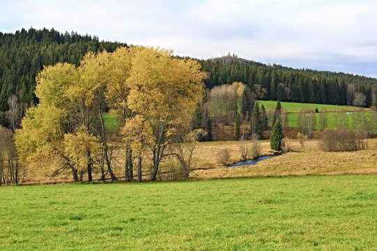 of natural meanders of river "Tepla Vltava" ("Warm Moldau") in the area of "Vltavsky Luh" in the National park Sumava. 
