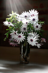 Florero flores blancas