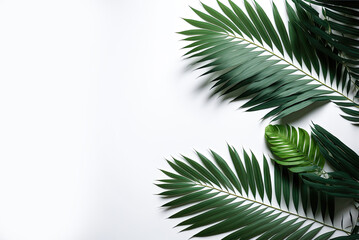 Obraz premium Palm fronds flat lay design, copyspace. Generative AI