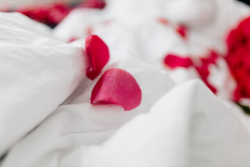 Rose petals are scattered on a white bed. Valentine's Day background