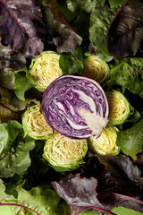 sliced red cabbage from top. Close up of an intricate pattern of purple color cabbage after slicing it. Fresh vegetable concept. flat lay