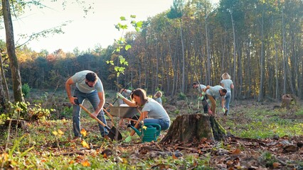 Couple of green planet activists planting trees in garden or wood and protecting nature. Outdoors....