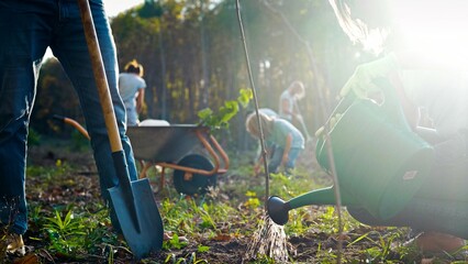 Couple of environmental activists planting trees near forest and protecting wood. Outside. Friends...