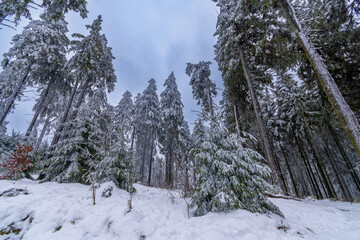 Im Winter liegt viel Schnee auf dem Berg hessischen Feldberg