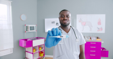 Close up on african american male doctor in medical gloves holding thermometer with high temperature. Vet doctor with stethoscope in medical clothes. Vet clinic at the background.