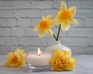 Obraz na płótnie Canvas Candle, narcissus flower on a light background