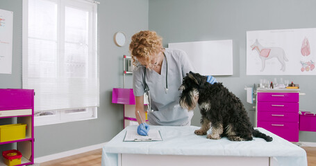 Female veterinarian standing in hospital while writing in documents diagnoses and looking on the dog sitting on veterinary examination table