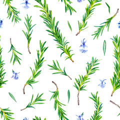 Seamless pattern of Rosemary sprigs on a white background. Watercolor illustration. Hand drawn botanical spices for cooking of provencal herbs. For design, booklets, restaurant menus.