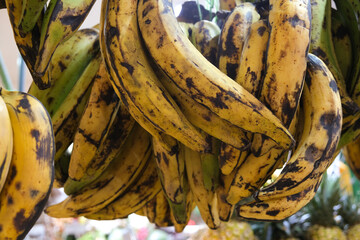 Close up a group of plantain is kind of banana that is cooked. Selective focus. © AliRza