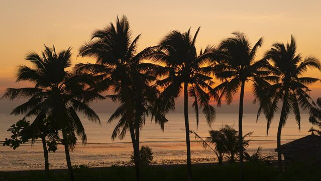 Silhouette of a coconut trees with beach and twilight sunset in background. Time-lapse sunset. Relaxing and vacation feel. Pan shot. Thailand. Phuket. Chantaburi.