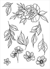 Outline black and white flowers petals and leaves Vector SVG 