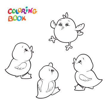 Coloring book or page, outline drawings of domestic farm birds of ducks, chicks, ducklings isolated on a white background.