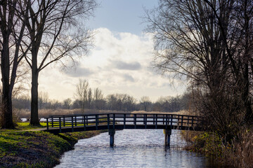 Selective focus of wooden bridge in winter with sunlight, Small canal or ditch on the lake with blare tree and water reeds, Typical landscape of flat and low land polder in countryside, Netherlands.