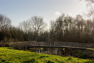 Selective focus of wooden bridge in winter with sunlight, Small canal or ditch on the lake with blare tree and water reeds, Typical landscape of flat and low land polder in countryside, Netherlands.