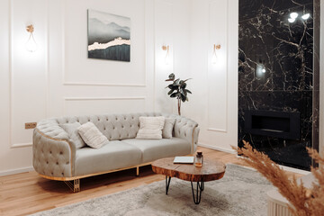 Stylish living room details and modern design with sofa, details of couch fabric and pillows. Boho...
