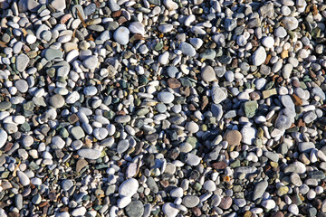 Different rounded pebble stones on the beach