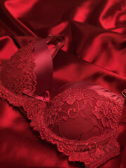 Red Lacy Bra on Silky Fabric