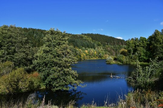 Blick auf den Kronenburger See