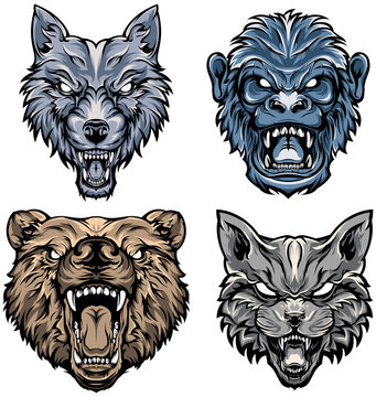 Head of bear, cat, monkey,wolf. Abstract character illustrations. Graphic logo design template for emblem. Image of portraits.
