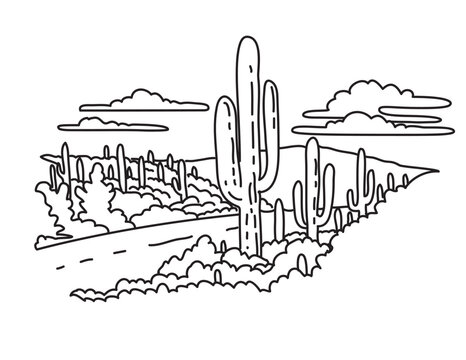 Mono Line Illustration Of Cactus Forest Scenic Drive In Saguaro National Park, Arizona, United States Done In Black And White Monoline Line Drawing Art Style.