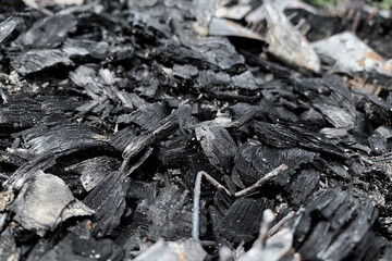 Focus on the burnt wood charcoal thrown to the ground with debris from the phenomenon, the tones draw attention to the black, white and gray in the photograph.