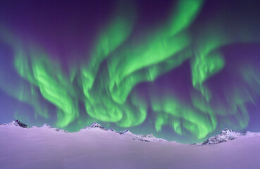 Aurora Borealis above Snowy Mountains - Enchanted Northern Lights Light Up Clear Night Sky