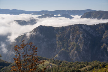 landscape in the morning