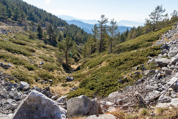 Fototapeta na wymiar Landscape of Pirin Mountain near Orelyak peak, Bulgaria