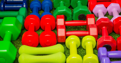 multi-colored dumbbells on a background of green grass