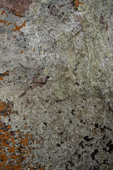 natural stone texture with beige dots