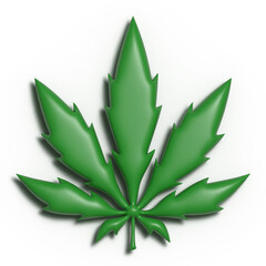 cannabis leaves